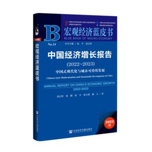 中国经济增长报告（2022～2023）：中国式现代化与城市可持续发展（978-7-5228-2518-2）_立体书影