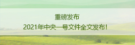 报告推荐 | 推动超大城市社会治理体系和治理能力现代化