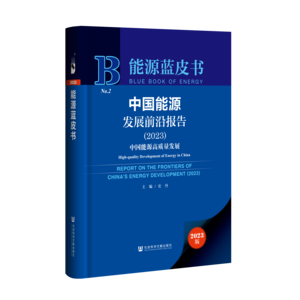 中国能源发展前沿报告（2023）：中国能源高质量发展（978-7-5228-2519-9）_立体书影